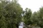 Horské vodné toky a ich drevinová vegetácia so Salix eleagnos (2.8.2015)