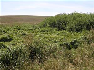 Pohľad na plochu TML