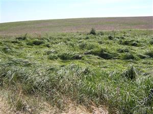 Pohľad na plochu TML