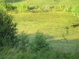 Pohľad na plochu TML