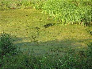 Pohľad na plochu TML