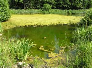 Pohľad na plochu TML