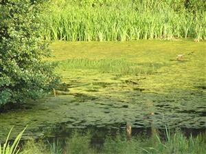 Pohľad na plochu TML