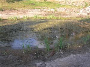 Pohľad na plochu TML