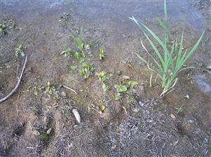 Pohľad na plochu TML