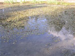 Pohľad na plochu TML