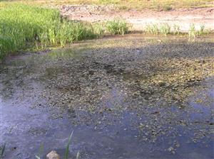 Pohľad na plochu TML