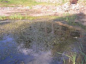 Pohľad na plochu TML