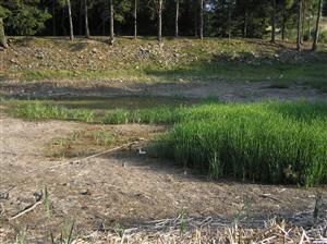 Pohľad na plochu TML