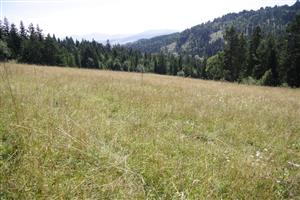 záber na biotop, smer J