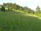 Suchomilné travinnobylinné a krovinové porasty na vápnitom podloží (*dôležité stanovištia Orchideaceae) (17.5.2015)