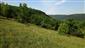 Suchomilné travinnobylinné a krovinové porasty na vápnitom podloží (*dôležité stanovištia Orchideaceae) (31.5.2015)