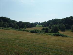 pohľad na časť lokality