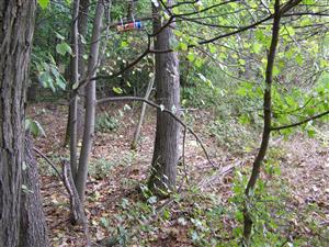 TML - biotop lesného ekotónu s inštalovaným tubusom