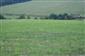 Nížinné a podhorské kosné lúky (23.8.2015)