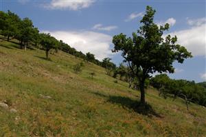 lokalita