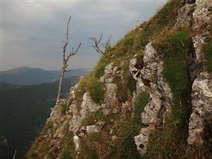 severne orientovaný svah lokality, tu rastie napr. Androsace lactea