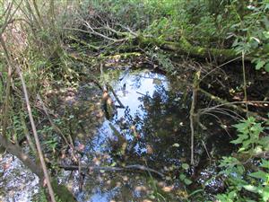 pohled na začátek lokality