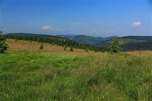 Pohľad na lokalitu