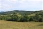Zubor hrivnatý (25.8.2015)