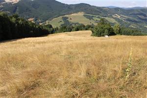 celkový pohľad na TML