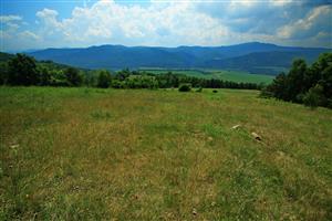 Pohľad na J časť lokality