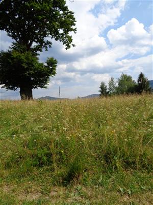 Pohronská Polhora, Vogule_pohľad na TMP