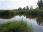 Prirodzené eutrofné a mezotrofné stojaté vody s vegetáciou plávajúcich a/alebo ponorených cievnatých rastlín typu Magnopotamion alebo Hydrocharition (8.8.2014)