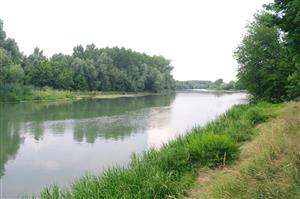 Malý Dunaj - Jahodná