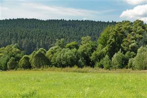 Pohľad na lokalitu