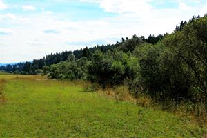 Pohľad na lokalitu v hornej (Z) časti polygónu