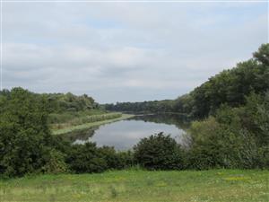 Lokalita - pohled z cesty