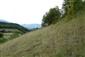 Suchomilné travinnobylinné a krovinové porasty na vápnitom podloží (*dôležité stanovištia Orchideaceae) (23.8.2015)