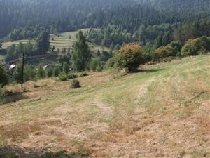 pokosená a nepokosená časť biotopu