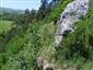 Suchomilné travinnobylinné a krovinové porasty na vápnitom podloží (*dôležité stanovištia Orchideaceae) (5.6.2015)