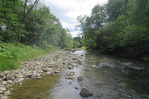 štrková lavica