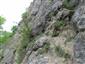 Karbonátové skalné steny a svahy so štrbinovou vegetáciou (22.7.2014)