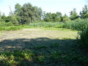 pohlad na vyschnutu cast mociara, kde v minulosti stagnovala voda