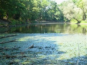 pohlad na TML z juhu - z konca ramena pred zaustenim do Latorice