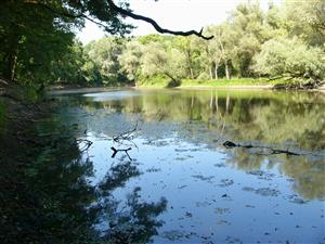 pohlad na strmy pravy breh ramena, kde vidno pokles vody