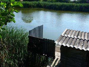 pohlad na lokalitu - pre uzavretý most sa s fotoaparátom nedalo dostať popred rybársku chajdu