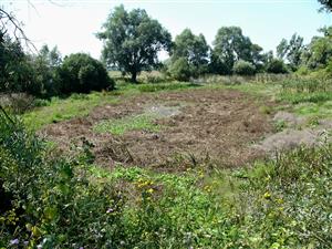 pohlad z cesty na vysusenu lokalitu