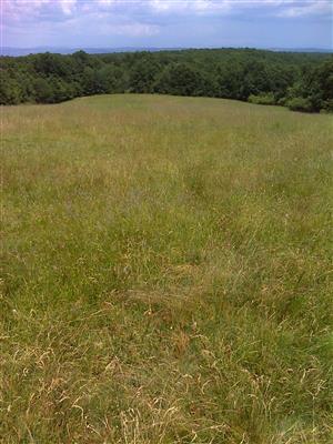 Záber na monitorovaný biotop.