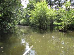 pohled do části lokality