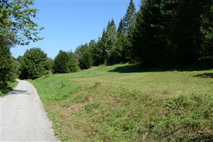 Záber na využívanú časť lokality