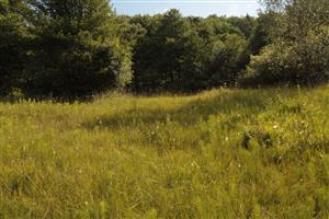 pohľad zospodu slatiny navrch, v smere na VSV