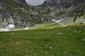 Pohlad na hrebienok s dominujucim porastom predstavujucim alpinske kyslomilne travniky