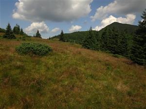 lokalita