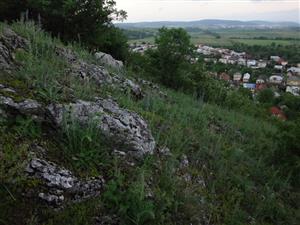 celkový pohľad, v pozadí obec Brekov
