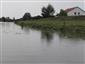 Prirodzené eutrofné a mezotrofné stojaté vody s vegetáciou plávajúcich a/alebo ponorených cievnatých rastlín typu Magnopotamion alebo Hydrocharition (12.8.2014)